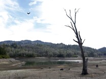 In this photo taken Tuesday, Feb. 4, 2014, is the Centennial Reservoir, one of the two water sources for the city of Willits, Calif. In the midst of a historic drought, the reservoir is only one-third full, forcing Willits city leaders to ban lawn watering, car washing, and mandated all residents to cut water use.(AP Photo/Rich Pedroncelli)