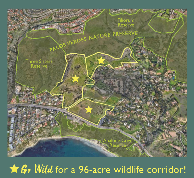 A satellite image has the Pacific ocean on the bottom and outline proposed conservancy land in yellow