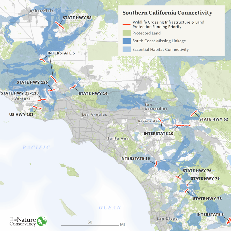 Connectivity_Strategy_Map_SouthernCalifornia (005).png