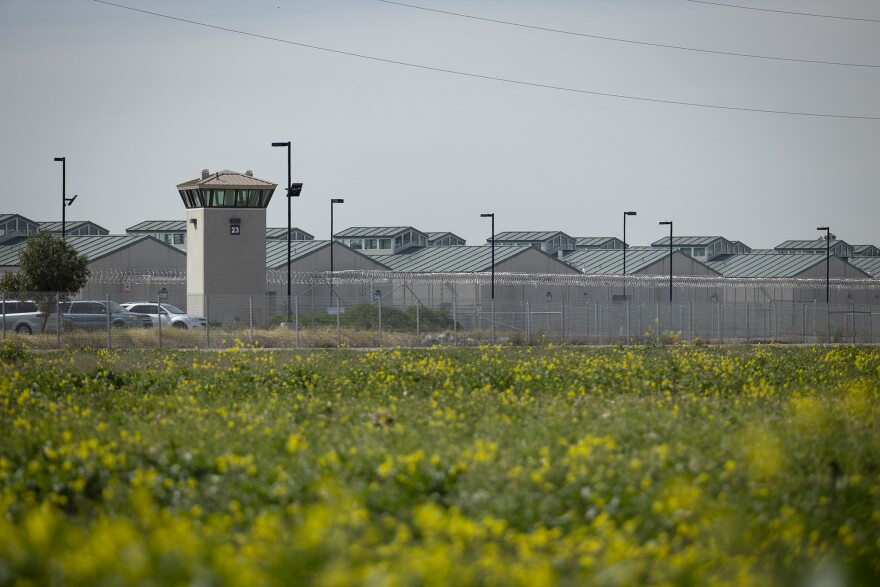 A guard tower and high barbed wire fencing is behind a field of small yellow and green flowers.
