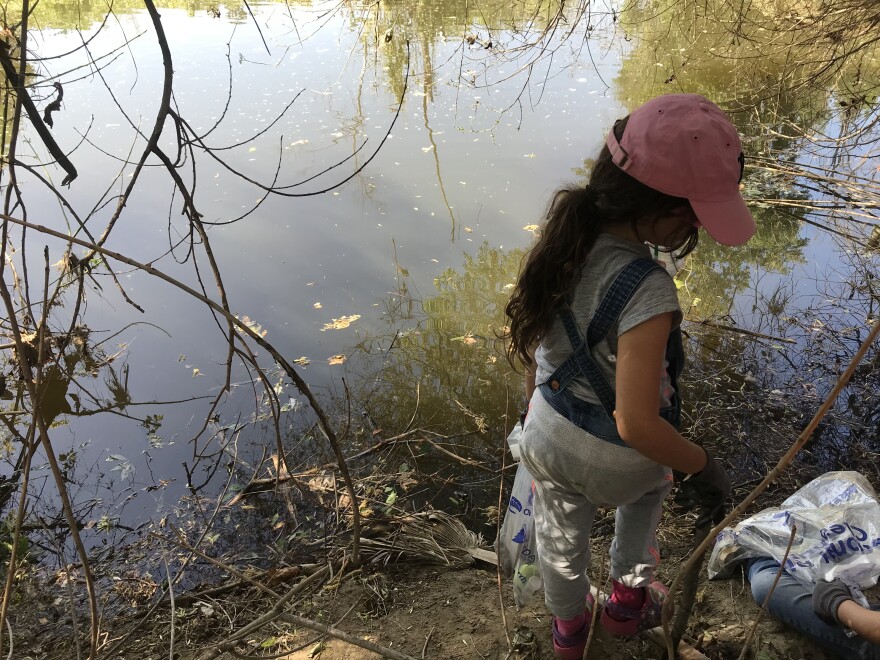 Beatrix Farber shows off a frog she and the other Girl Scouts found in the river; the frog is well hidden in the twigs. Photo credit: Audrey Alden