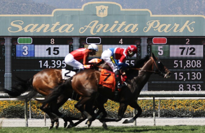 ARCADIA, CALIFORNIA - JUNE 23:  Race horses run on the final day of the winter/spring horse racing season at Santa Anita Park on June 23, 2019 in Arcadia, California. Santa Anita ownership banned a Hall of Fame trainer yesterday following the death of a fourth horse from his stable at the track. It was the 30th race horse to die at the famed racetrack since December 26. (Photo by Mario Tama/Getty Images)