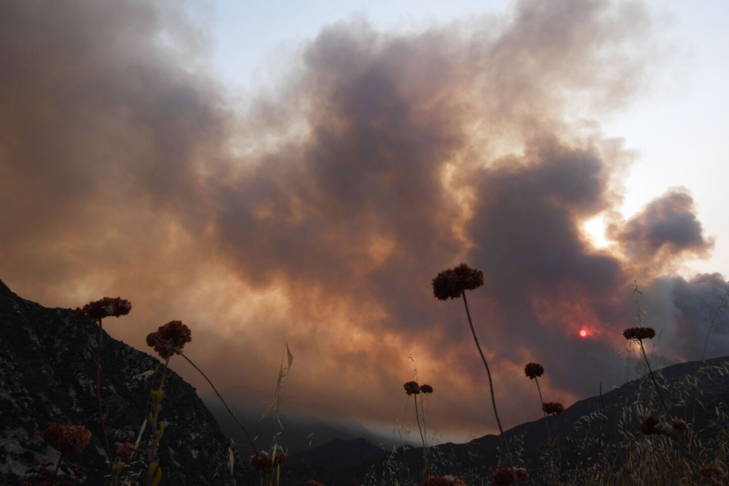Dark smoke covers the sky over hills in the Angeles National Forest during the Bobcat Fire in 2020