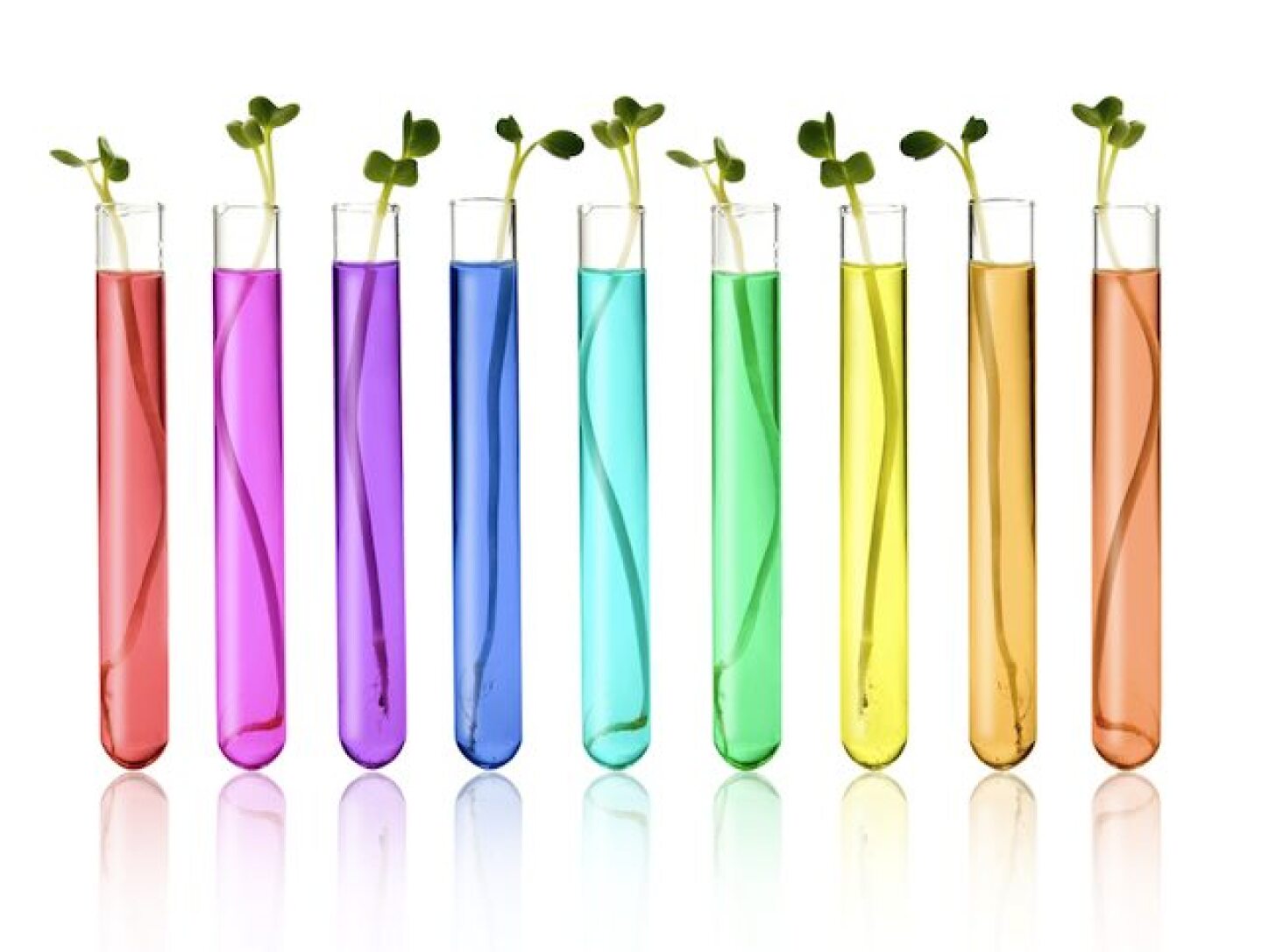 GMO_shutterstock.jpg