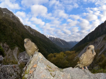 Two Kea birds, Arthurs Pass South Island New Zealand. The species is listed as threatened in that country and climate change is among the reasons their numbers are in danger.