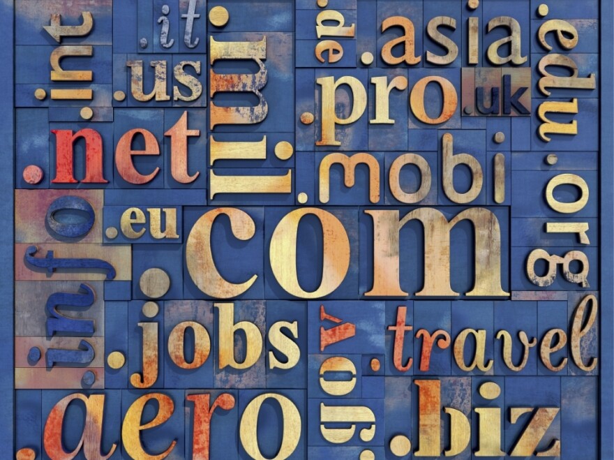 The Internet Corporation for Assigned Names and Numbers, known as ICANN, is forging ahead with plans to sell new domain categories despite vocal opposition. The decision raises questions about who should govern the Internet.