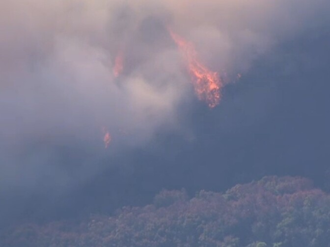 A screenshot of footage of the Scherpa Fire on Wednesday, June 15, 2016.