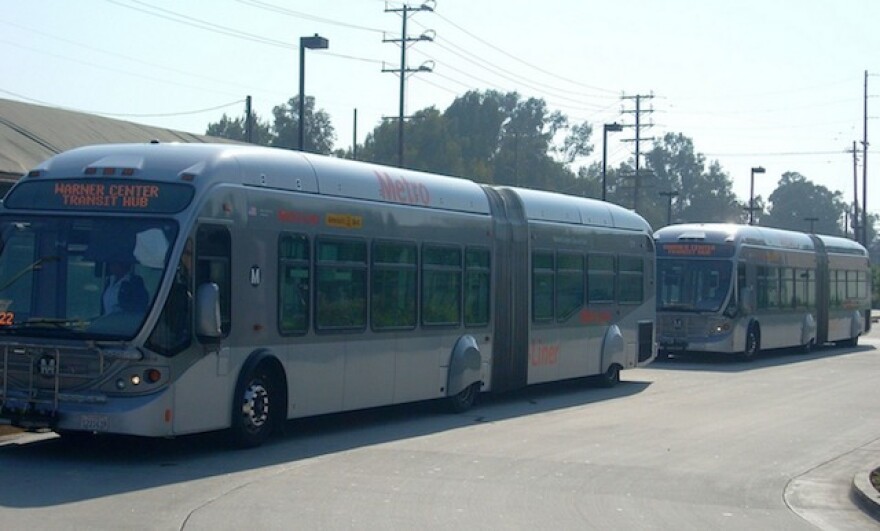 orangebrt.jpg