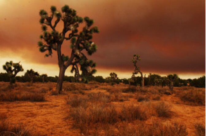 Mojave Desert Fire 2009