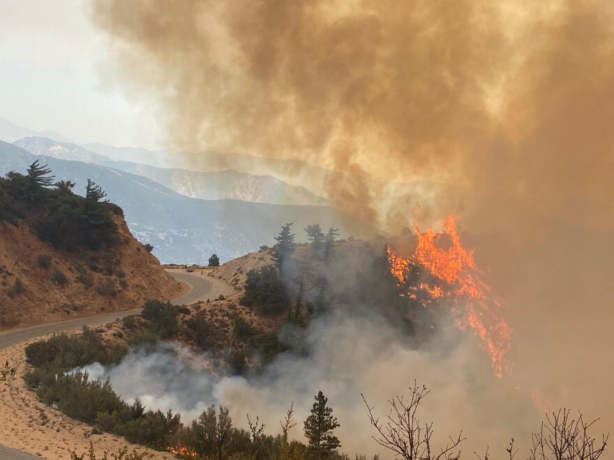 Red flames appear with brown and white smoke along one side of a winding mountain road bordered by vegetation.