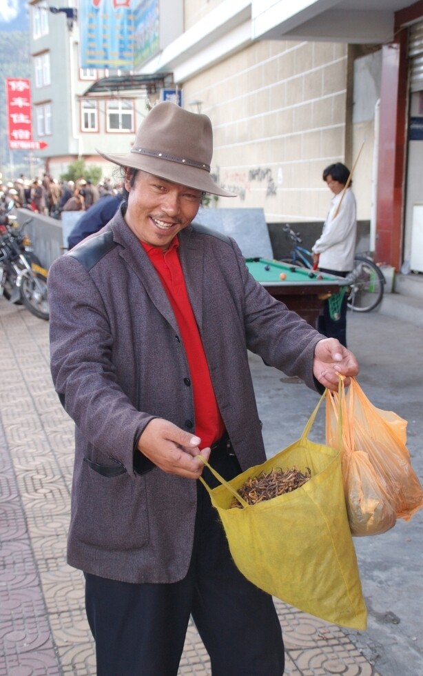 <p>A yartsa gunbu dealer in the town of Bayi, Tibet.</p>