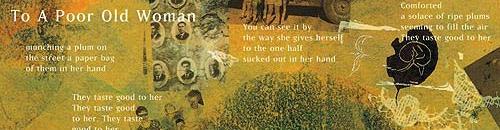 5b2bc6514488b3000926a51f-original.jpg