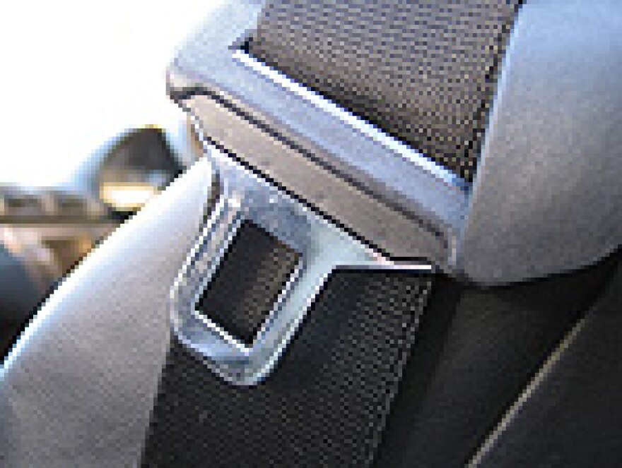 Seatbelt_large.jpg
