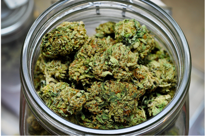 A jar of medical marijuana