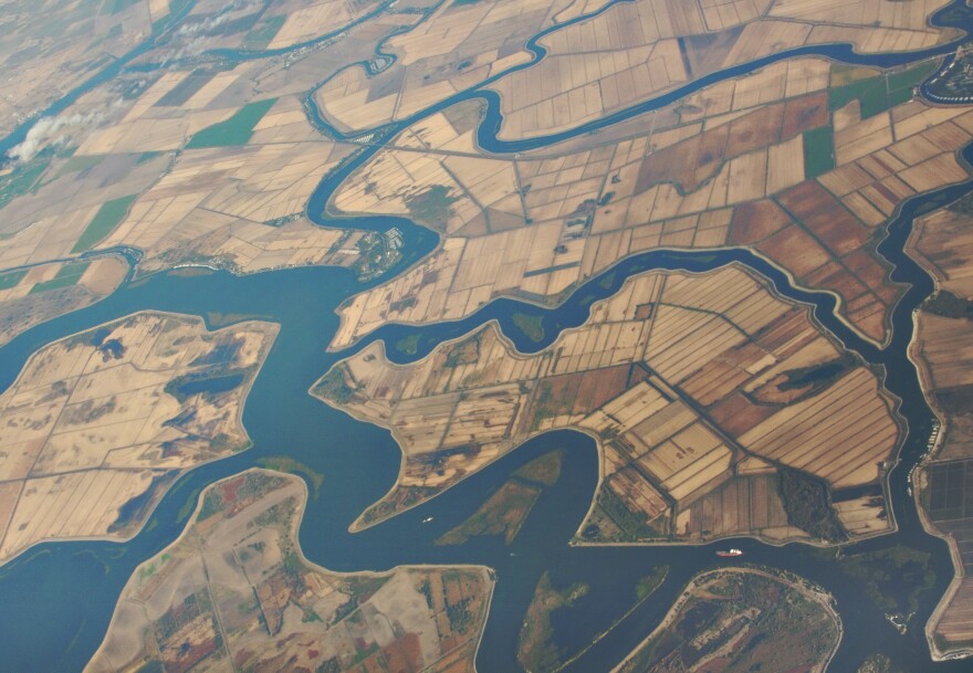 A group of public water agencies has asked the state to order farmers in the Sacramento-San Joaquin River Delta to stop irrigating their crops amid the relentless drought.