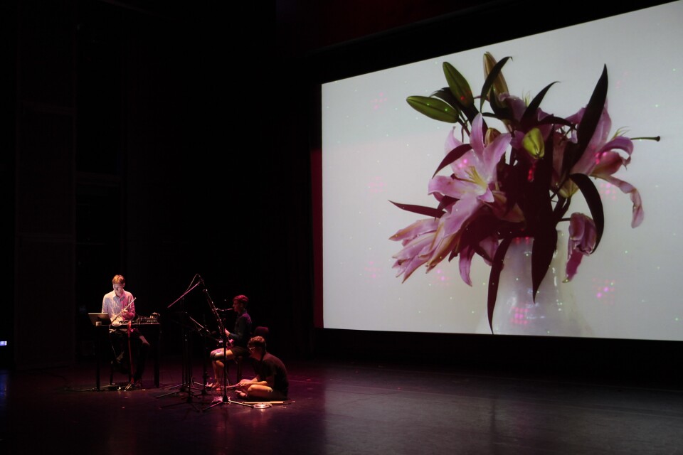 Sarah Rara and Luke Fischbeck of the musical group Lucky Dragons performing live