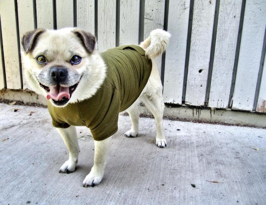 Get ready for sweater weather this weekend. 