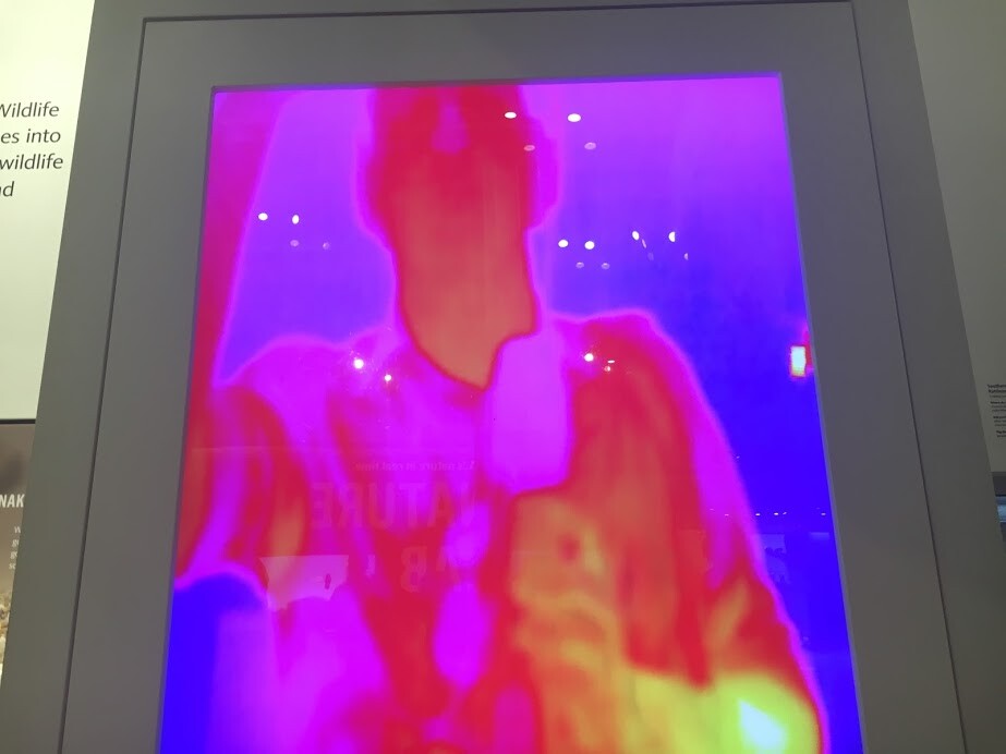 How a snake sees KPCC's Austin Cross.