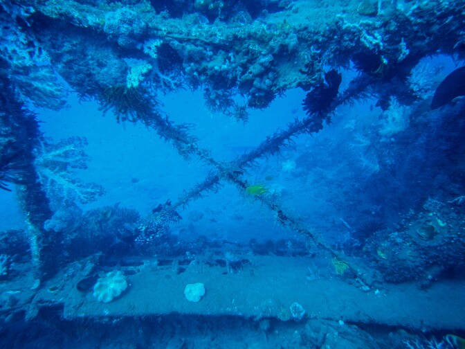 Part of the wing of a Japanese biplane lies in the water near Rabaul.