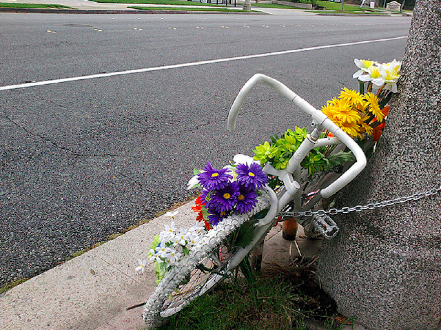 bike-roadside-memorial.png