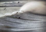 The silhouettes of two surfers on their boards are seen as they paddle past a large, breaking wave. Two seabirds fly overhead.