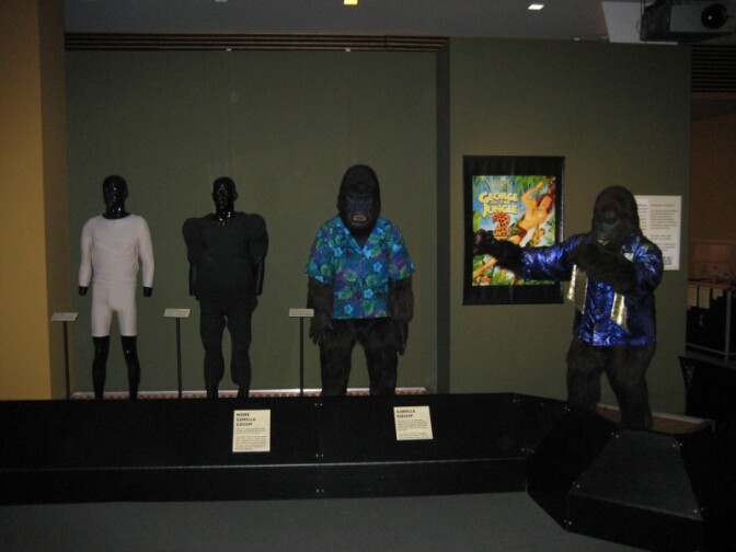 Several versions of the talking gorilla from "George of the Jungle" are part of the movie monster exhibit at the Muzeo.