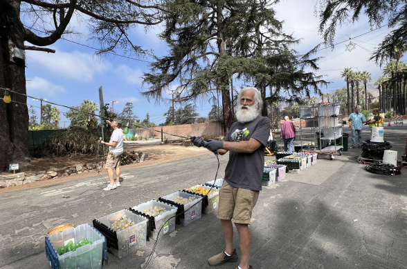 A man with a white bushy beard holds onto a light string next to boxes of bulbs.