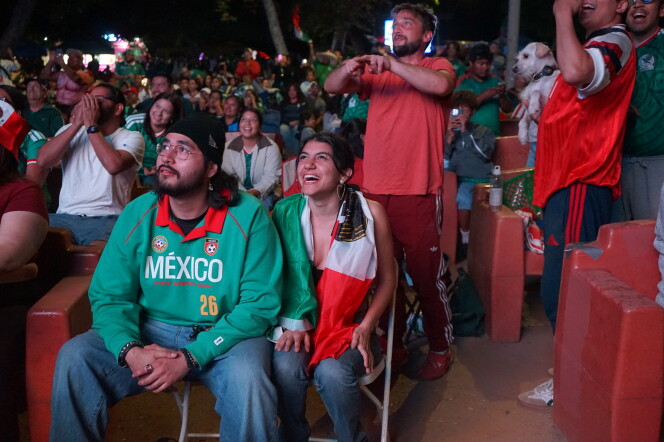A crowd in a park watches a World Cup match on a large screen. Many wear green jerseys. Some stand up, cheering.