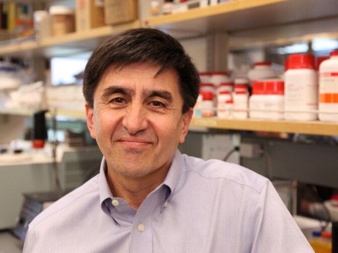 Shoukhrat Mitalipov, of Oregon Health & Science University, first cloned monkey embryos before trying his method on human eggs.