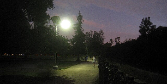 nohoparklights.jpg