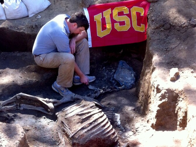 Professor Thomas Garrison works to exhume the remains of legendary California thoroughbred Native Diver on March 9, 2014.