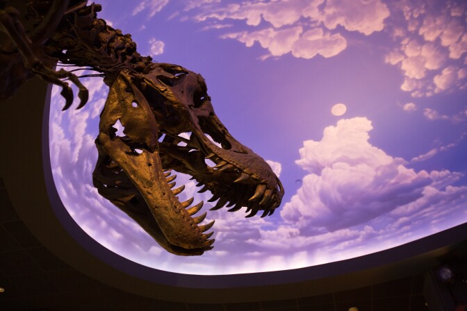 Children's room at the Cerritos Library on Jan. 28, 2018 in Cerritos.