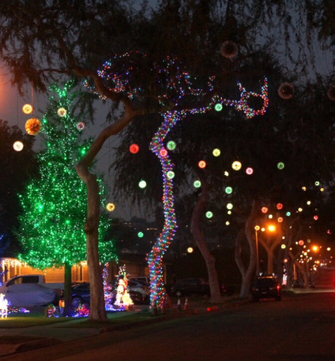 Shimmering balls of light hang from trees on a dark night. String lights are also wrapped around one tree. 