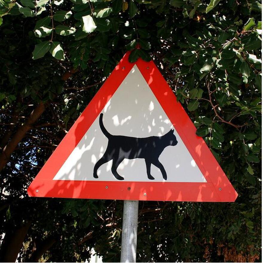 kitty-sign.jpg