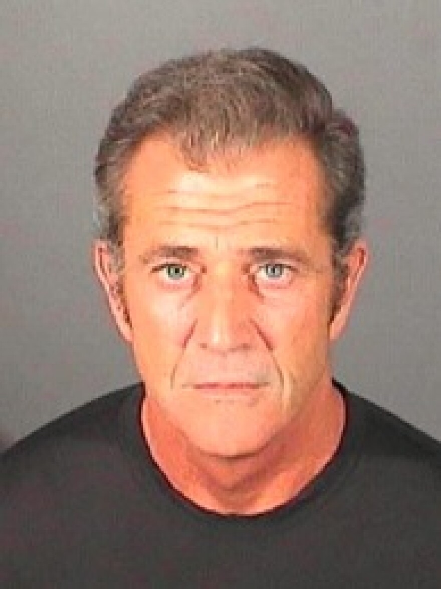 In this handout photo provided by the El Segundo Police Department, Mel Gibson is pictured in a booking photo at the El Segundo Police Department on March 16, 2011 in El Segundo, California. 