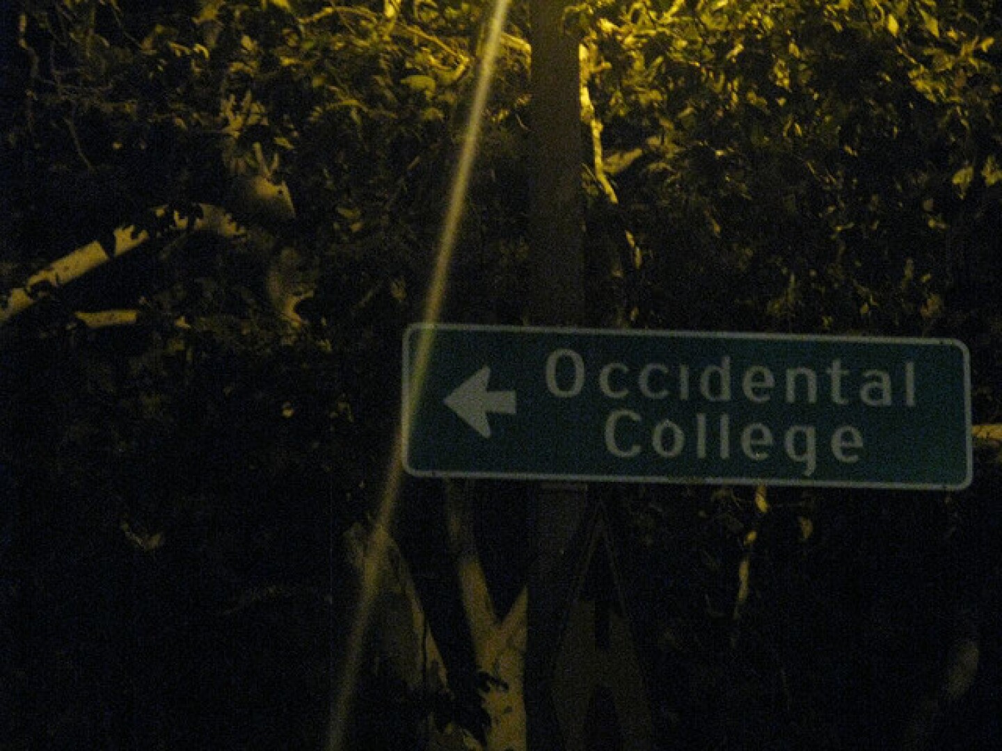 occidental_college.jpg