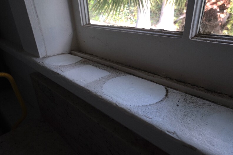 A layer of ash is seen on a windowsill. Rings have formed where potted plants once sat. 