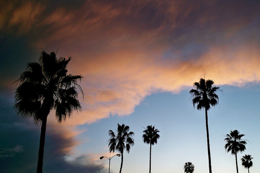 AfterRainStorm.jpg