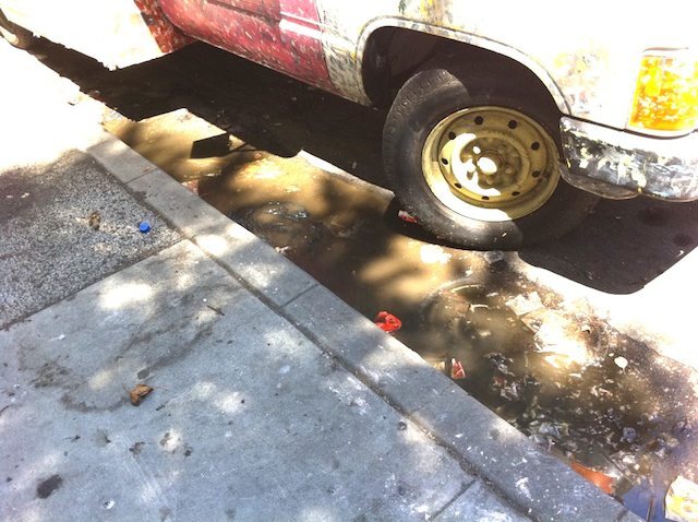 rv-fecal.jpg