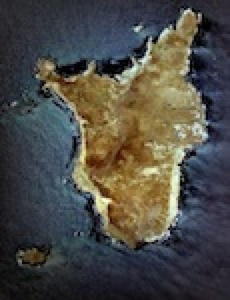 santa-barbara-island-sharks.jpg