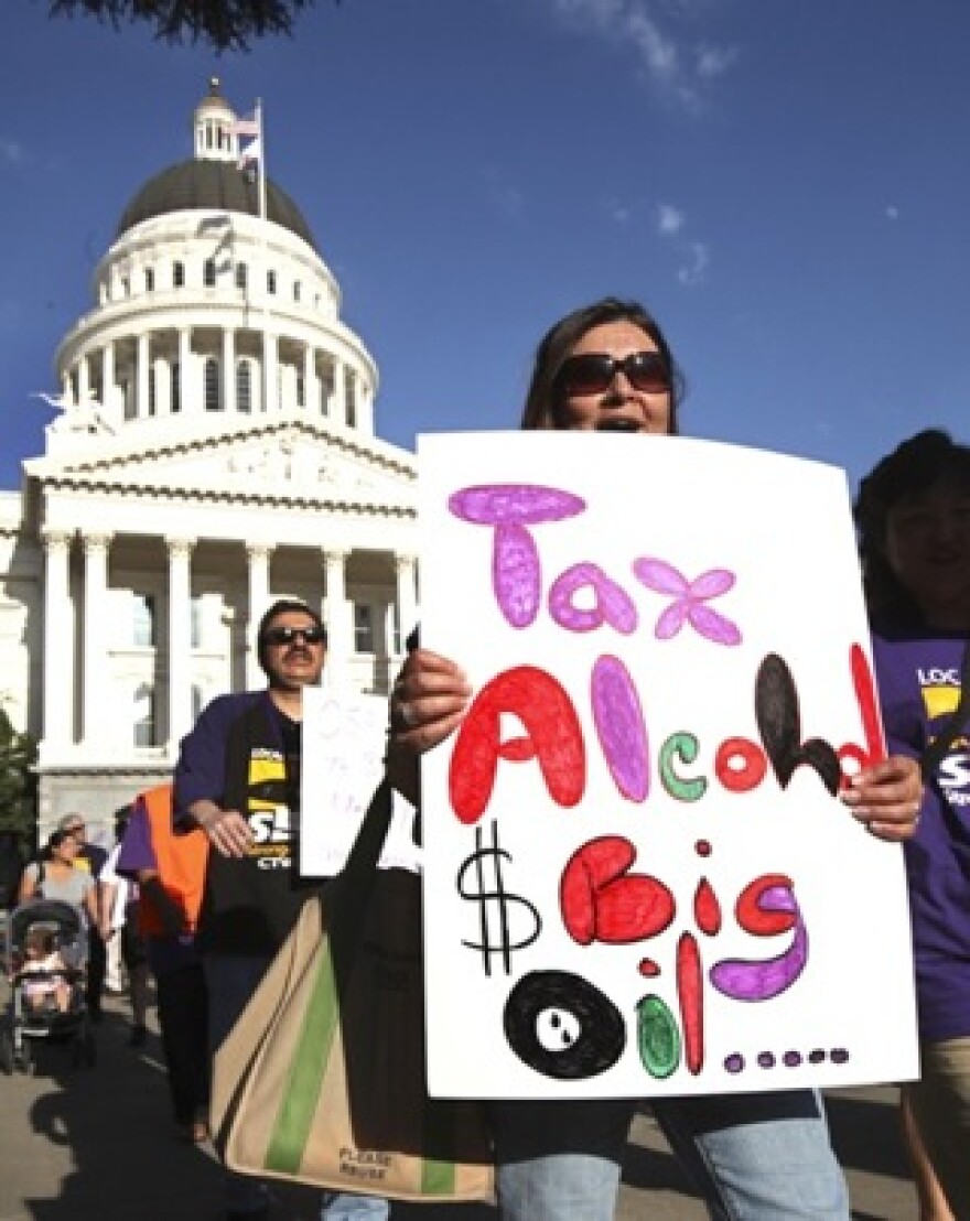 state-budget-protest3.jpg