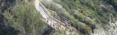 5b2bc5f84488b3000926a483-original.jpg