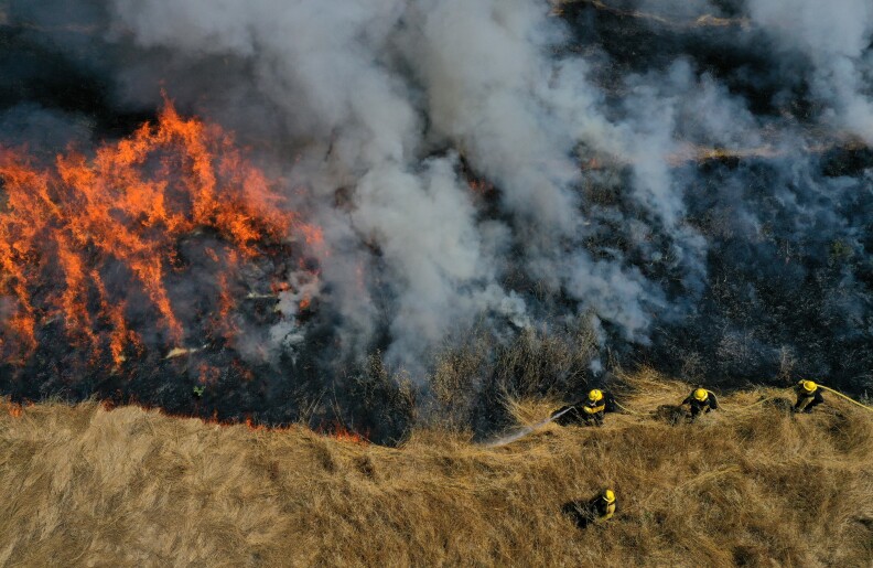 Firefighters in a field of tall grass look down on a fire and smoke.