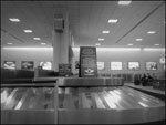 5b2c5c624488b30009281219-original.jpg