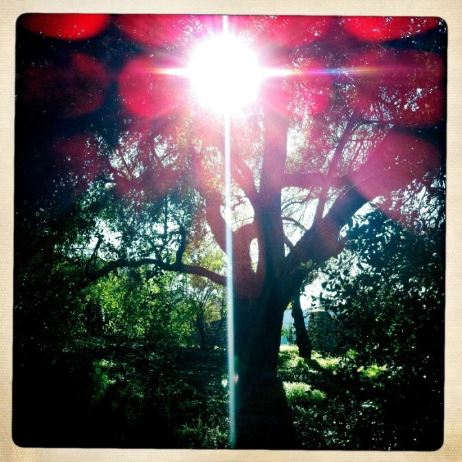 Off-Ramp is like a psychedelic walk through magical woods in the Golden Hour, but without flashbacks.