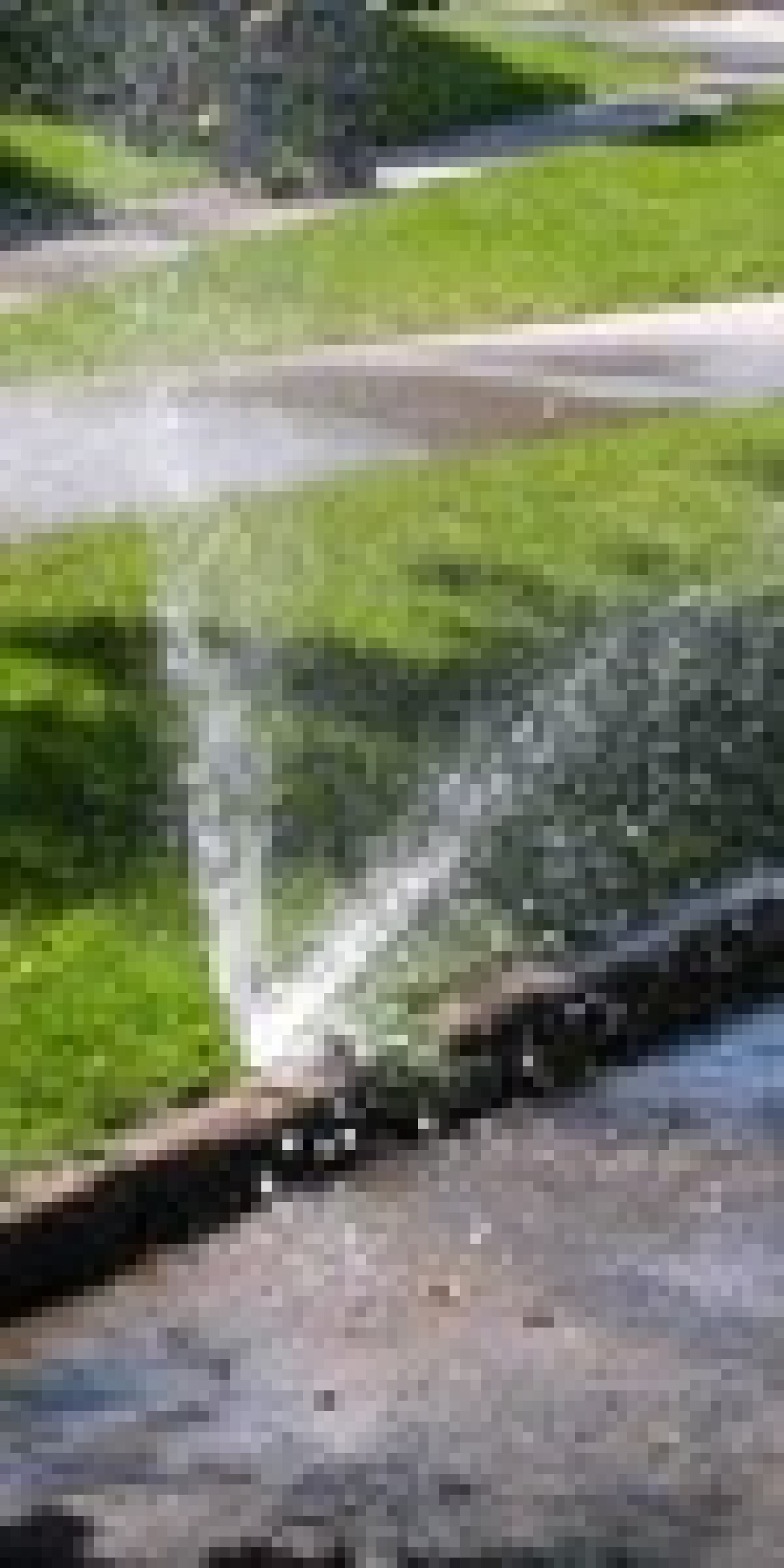 broken sprinkler 1.jpg