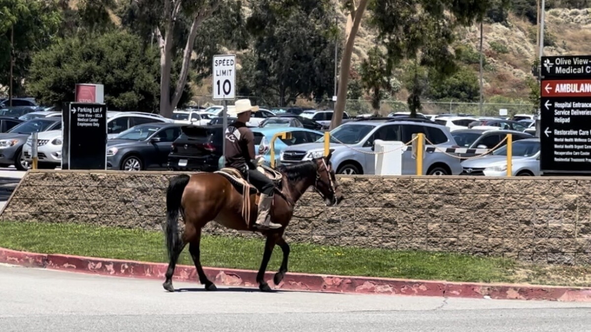 Exploring LA's Most Northern Neighborhood, Sylmar (And Other Headlines) - Vimarsana News