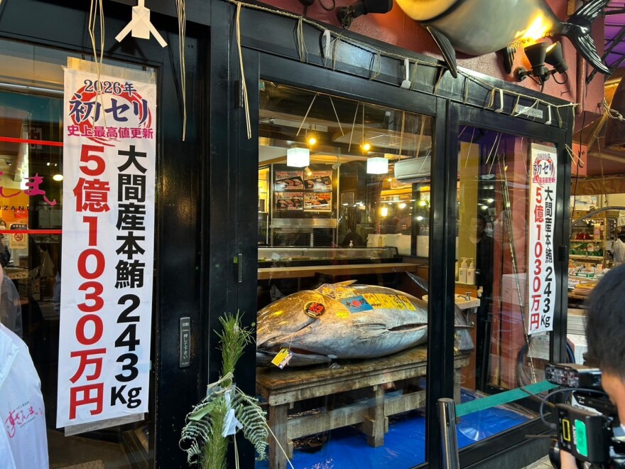 The storefront of a Japanese fish market or restaurant, prominently featuring a massive tuna displayed inside on a wooden platform.  