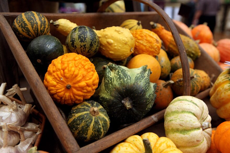 Mixed gourds are displayed at the Royal Horticultural Society's London Autumn Harvest Show.