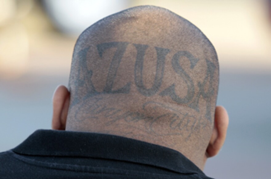 A suspect has "Azusa Canyon City" tattooed on the back of his head as members of a Azusa, Calif. gang are processed following an early-morning raid, at the at Irwindale Speedway in Irwindale, Calif., Tuesday, June 7, 2011. The Latino gang conspired to rid the Southern California city of its black residents through threats and violence dating back to the early 1990s, according to an indictment.
